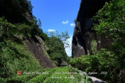 曹妃甸森林公园